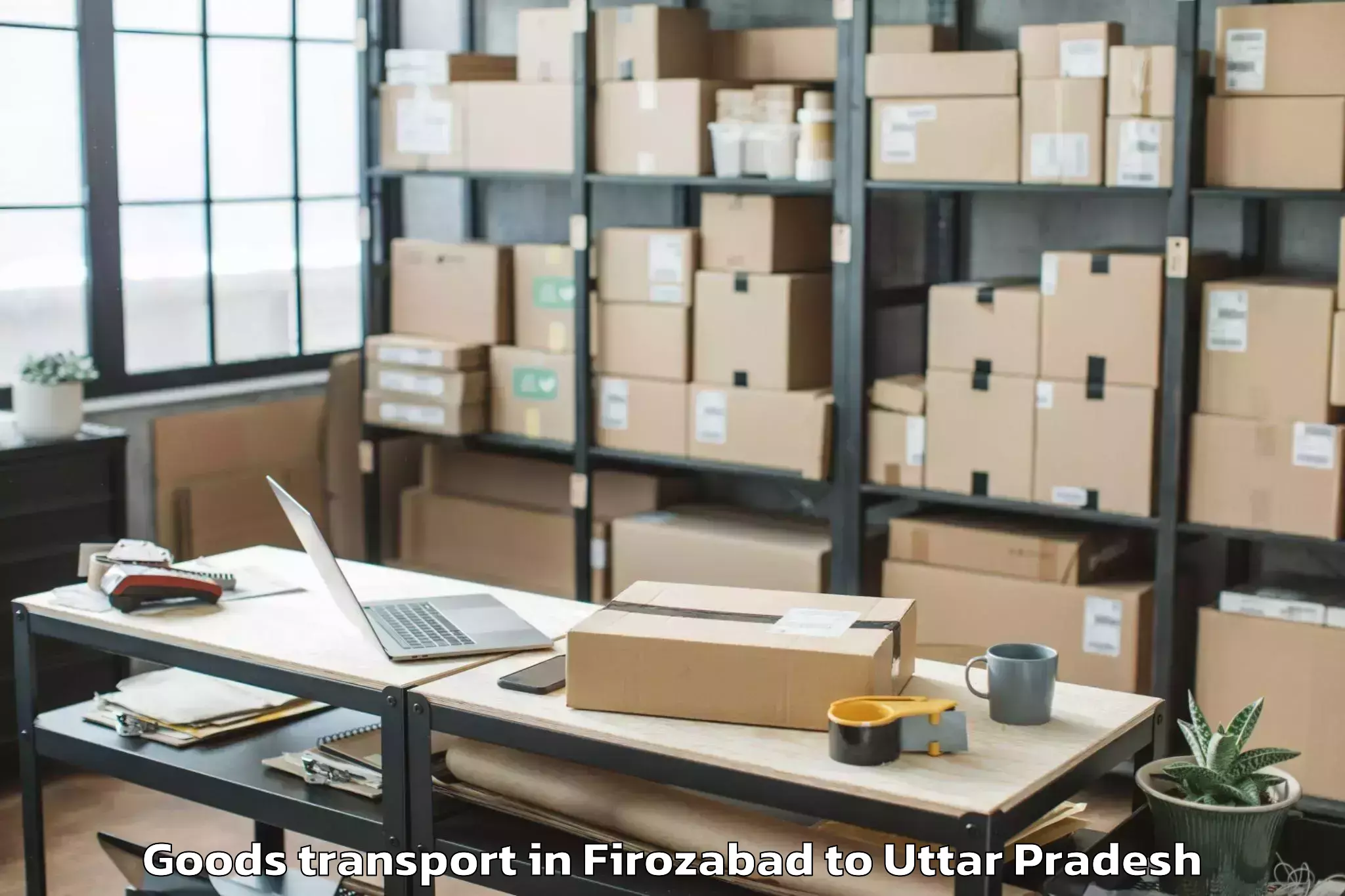 Professional Firozabad to Kishni Goods Transport